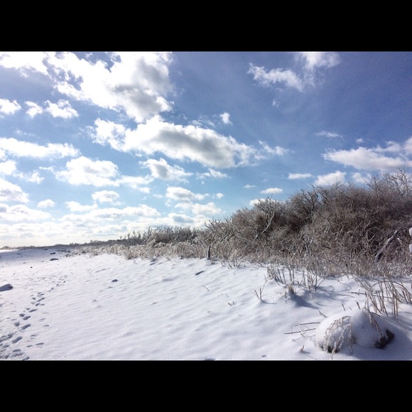 Meet your Posher, Missy - Picture 3 of 3